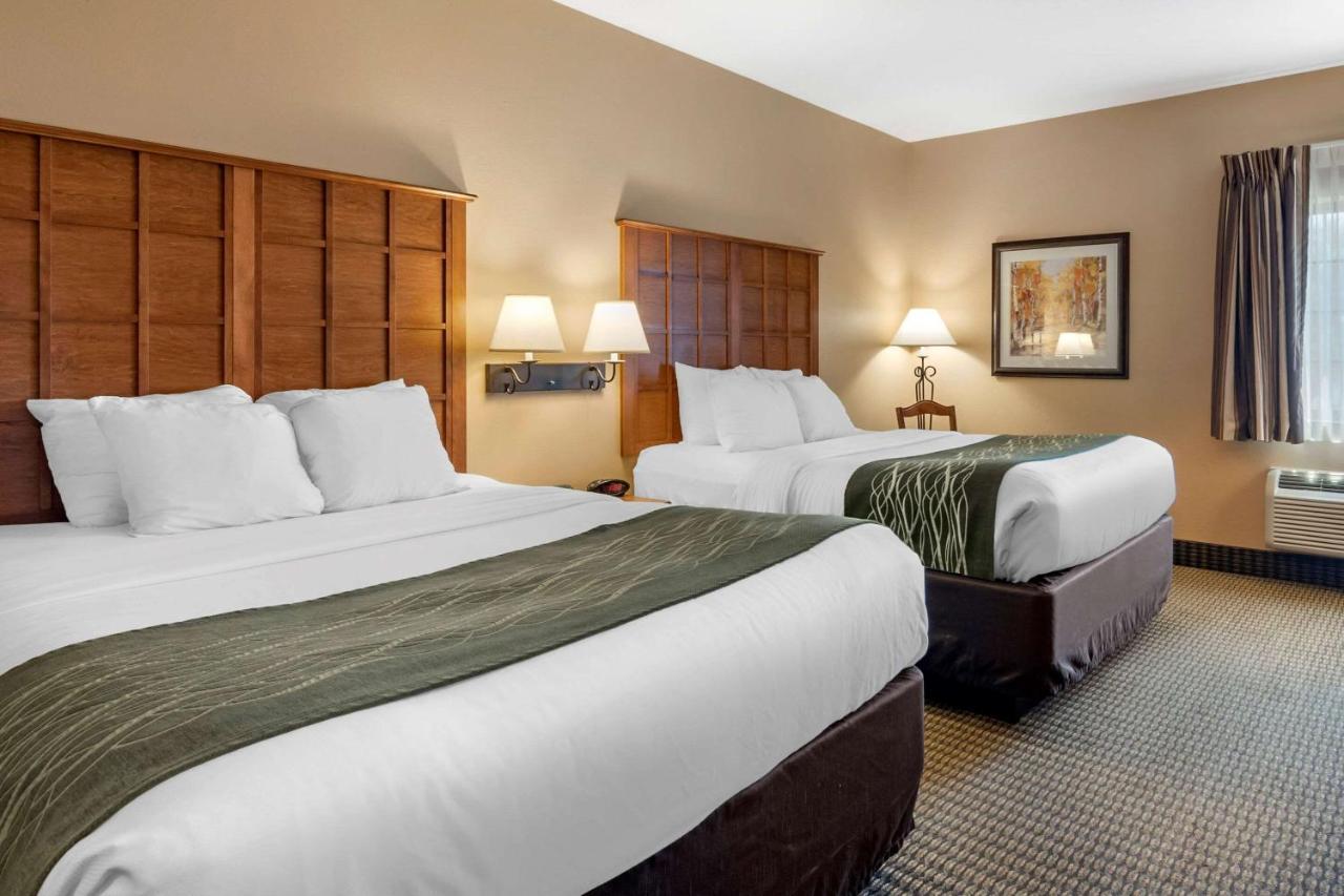 Comfort Inn & Suites Chillicothe Extérieur photo